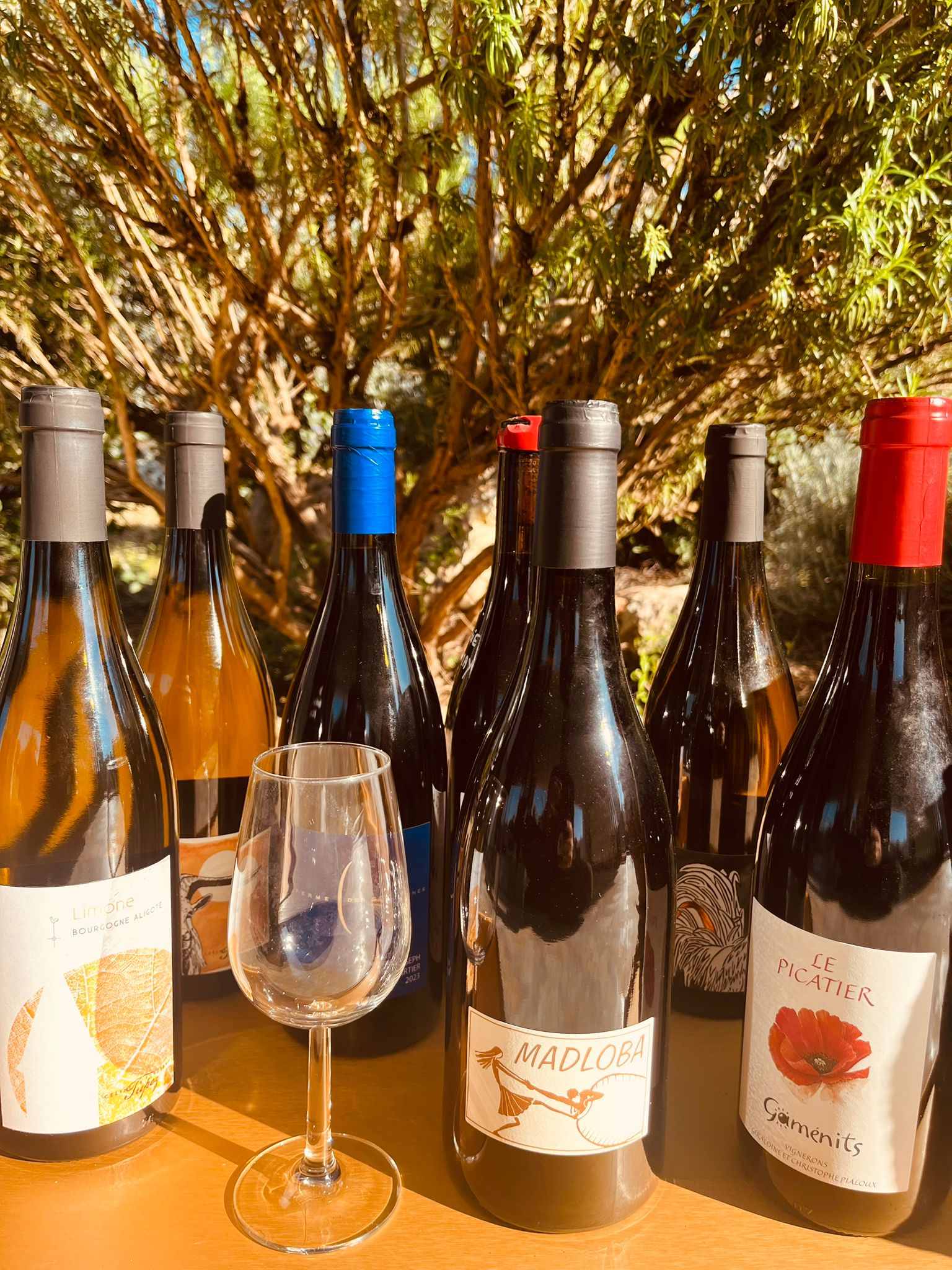 Natural wine selection